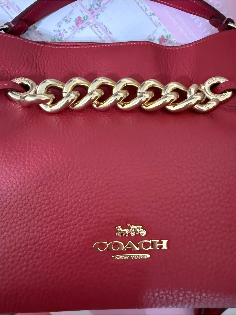 COACH Red Apple Pebbled Leather Hobo with Gold Chain Accent